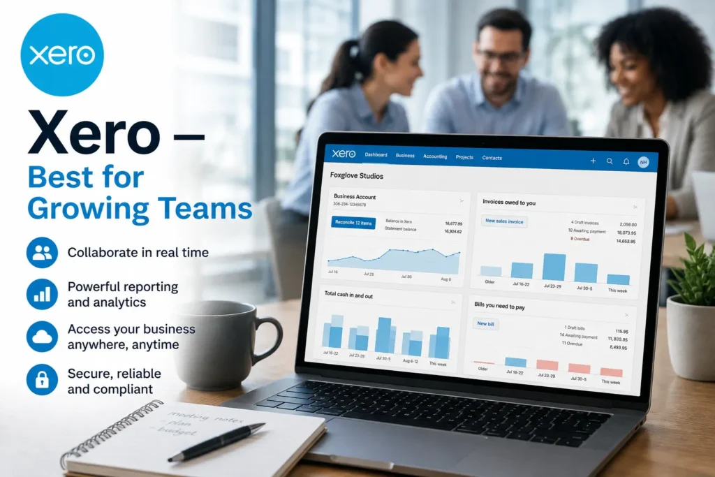 Xero — Best for Growing Teams